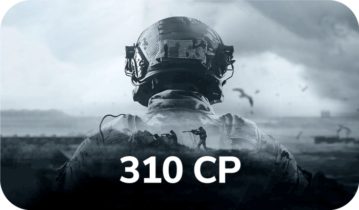Arena Breakout - 310 CP (INT)